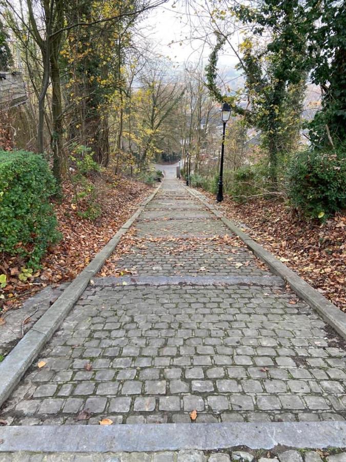 Vakantiewoning De Kassei Geraardsbergen Max 12Personen Extérieur photo